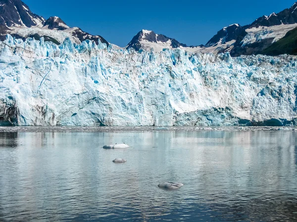 Cruise in Alaska — Stockfoto