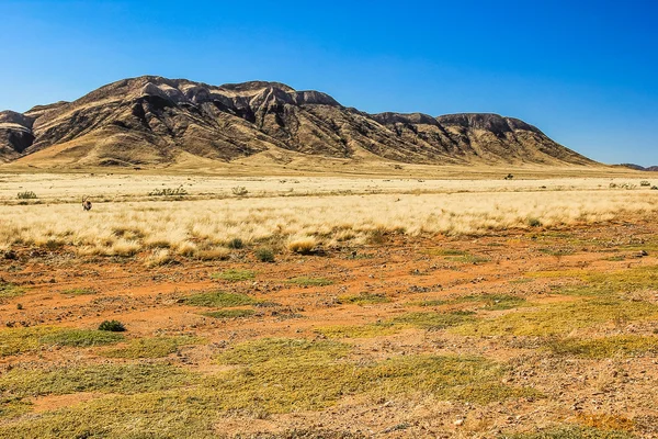 Namib Çölü Namibya — Stok fotoğraf