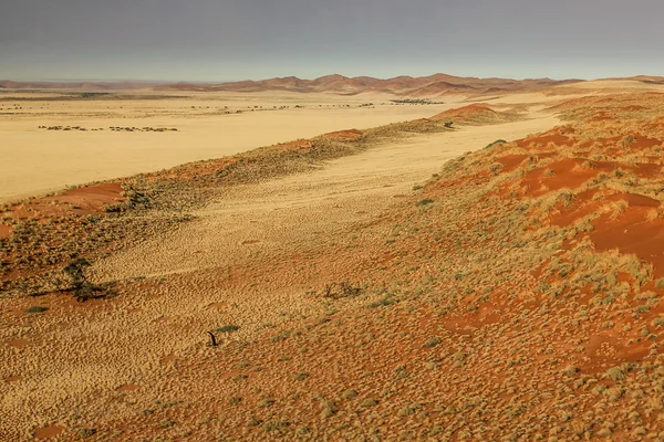 Sossusvlei desert namibia — Stock Photo, Image