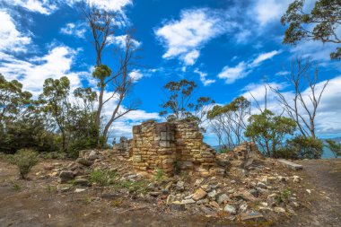 Kömür madenleri Tazmanya
