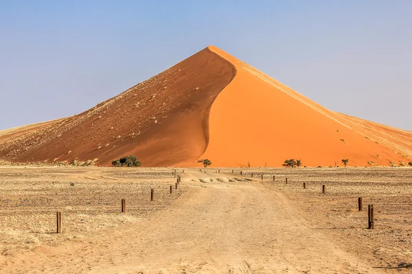 Woestijn Duin — Stockfoto