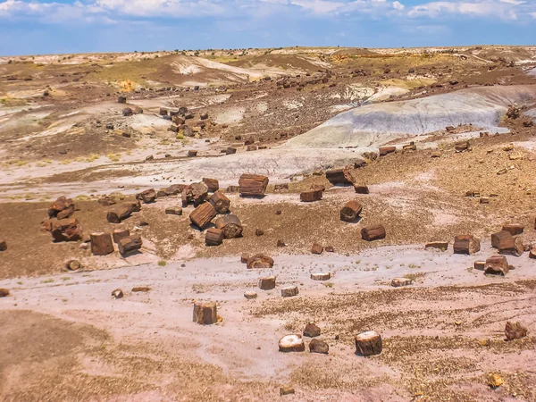 Petrified Forest National Park — Stock Photo, Image