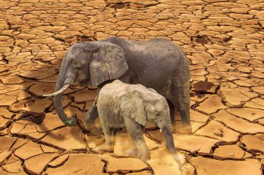 Küresel ısınma kavramı