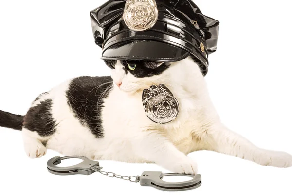 Poliziotto gatto poliziotto — Foto Stock