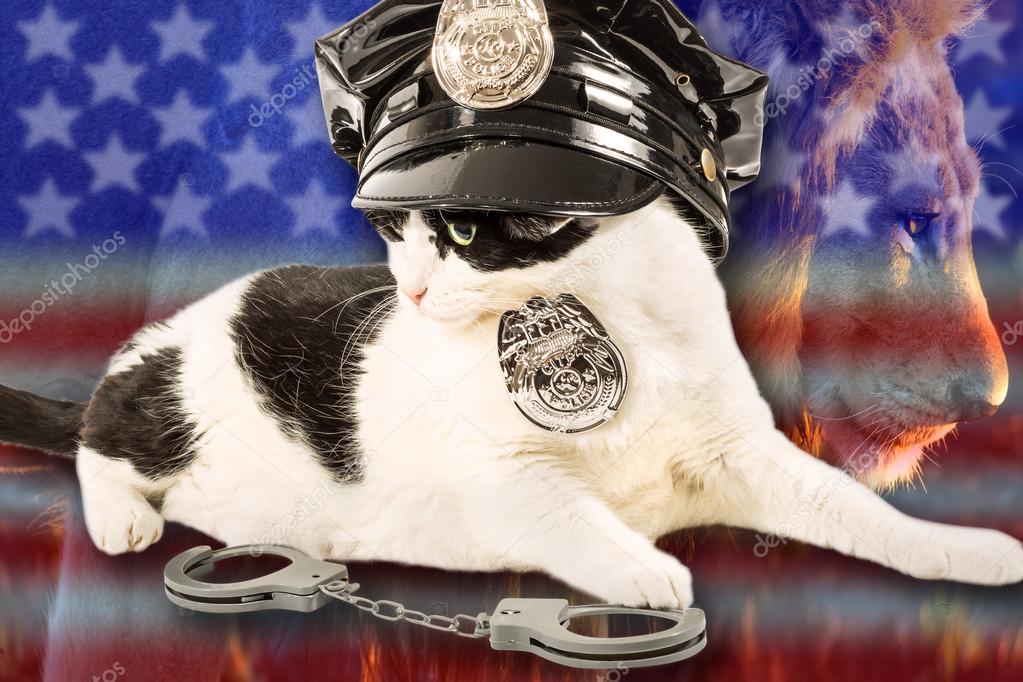 Brave Cop Cat