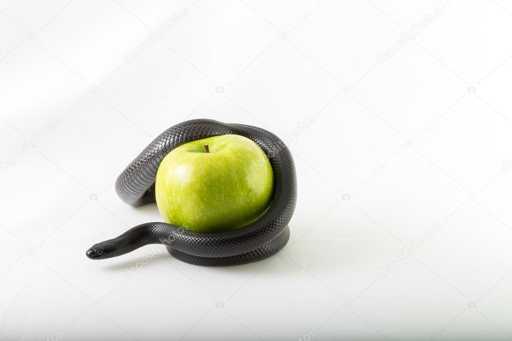 Sin snake apple