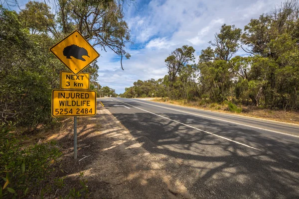 Echidna road sign — Stock Photo, Image