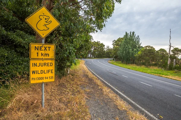 Cruce de Koala —  Fotos de Stock