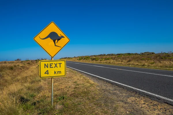 Warning Kangaroo — Stock Photo, Image