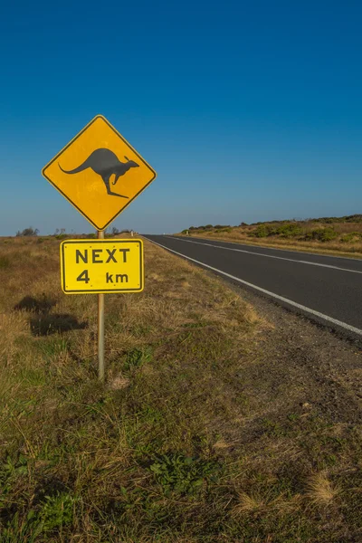Попередження кенгуру — стокове фото