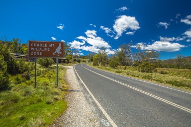 Cradle Mountain yaban hayatı bölge 