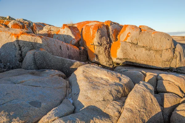 Binalong Bay Tasmania — Foto de Stock