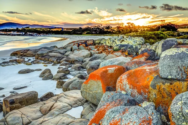 Baia degli incendi tasmania — Foto Stock