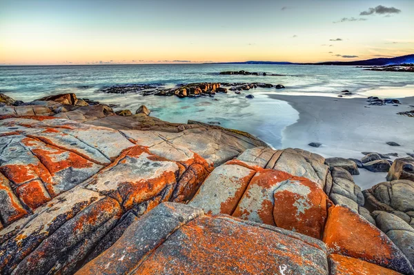 Tazmanya Bay yangınları