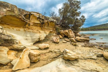 Cliffs Tazmanya