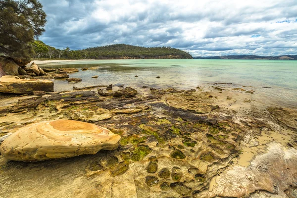 Playa rocosa Tasmania —  Fotos de Stock