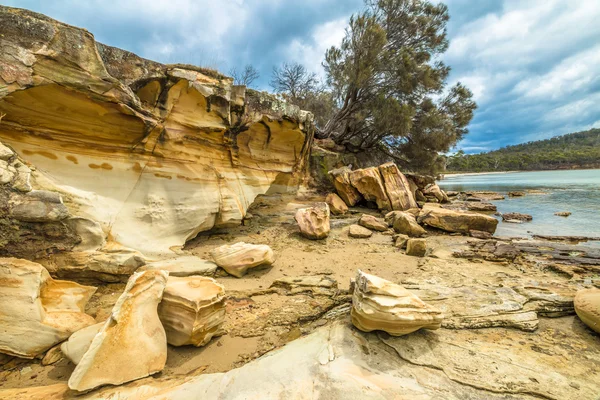 Acantilados Tasmania — Foto de Stock