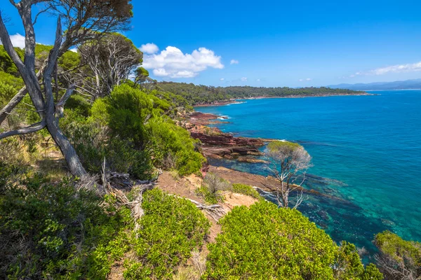 Ben Boyds National Park — Stock Photo, Image