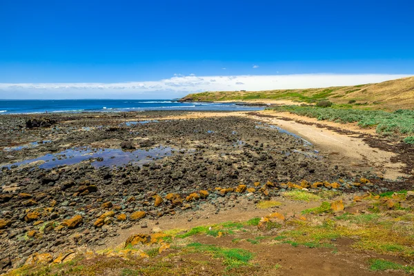 Phillip Island — Stock Photo, Image