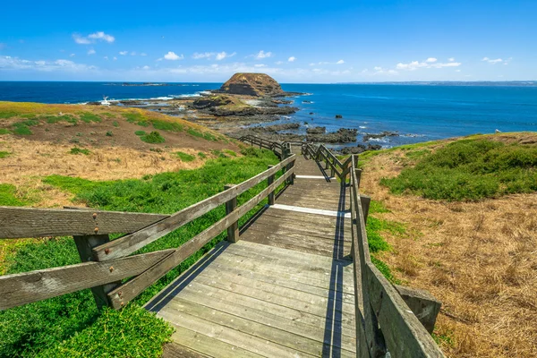 Phillip Island Nature Park — Stock Photo, Image