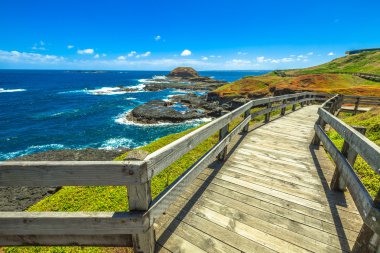 Boardwalks Nobbies