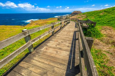 Nobbies Phillip Island