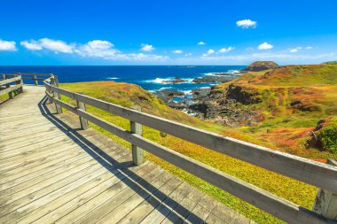 Phillip Island Victoria
