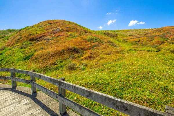 Parque Natural de Phillip Island — Foto de Stock