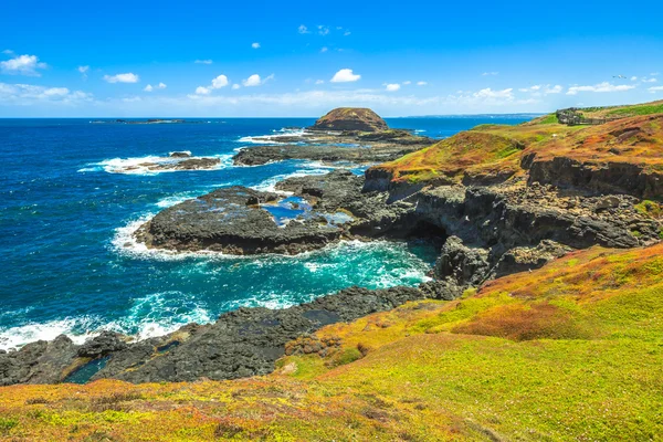 Los Nobbies Phillip Island — Foto de Stock