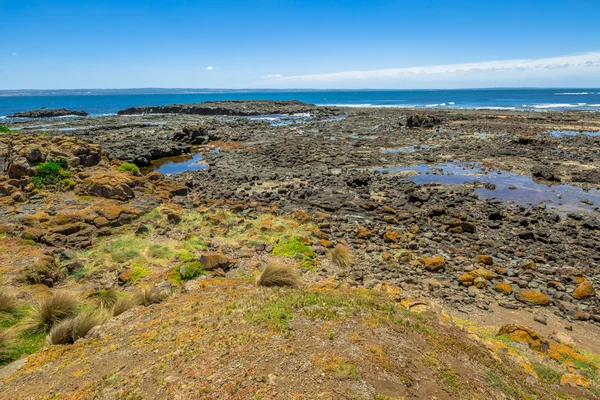 Phillip Island — Stock Photo, Image