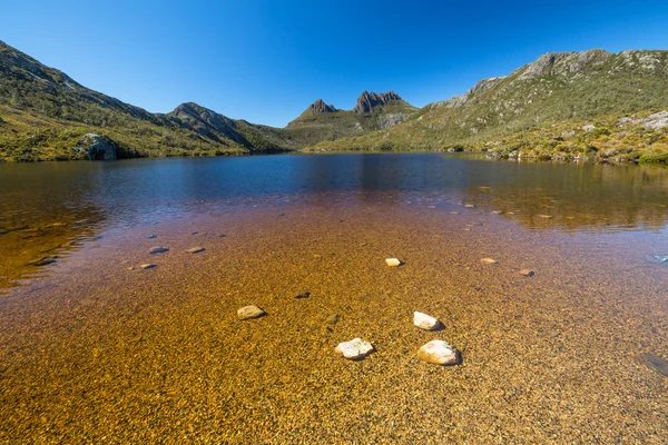 Lago pomba tasmânia — Fotografia de Stock