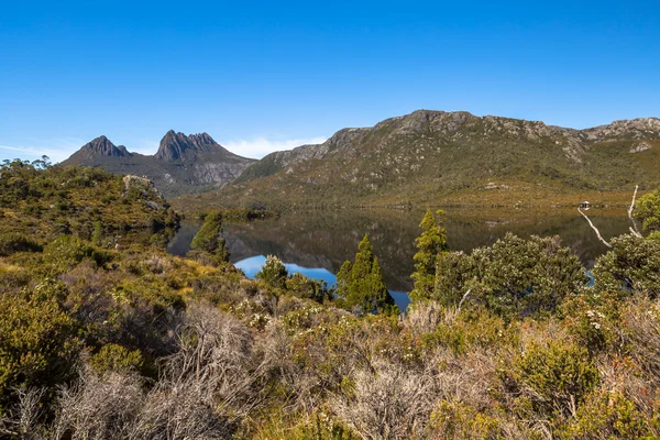 Cuna Montaña Tasmania —  Fotos de Stock