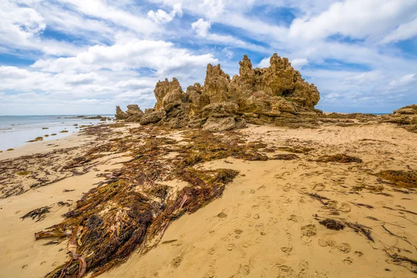 Victoria anglesea — Stok Foto