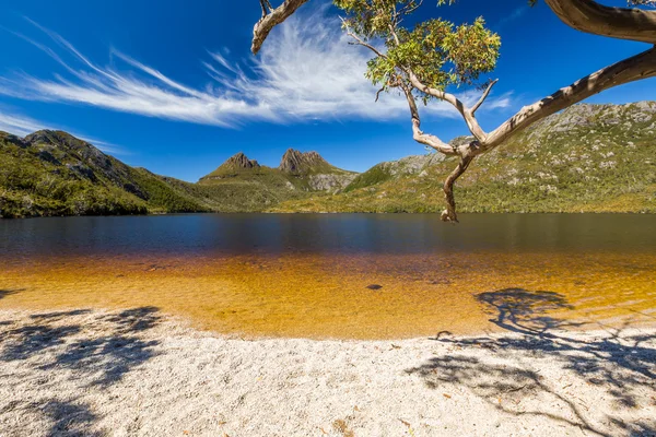 Lake Dove Tasmania — Stock Photo, Image