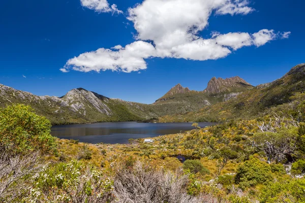 Culla montagna Tasmania — Foto Stock