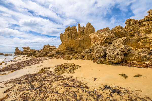 Anglesea Victoria 