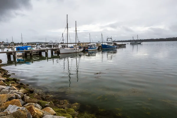 St Helens Tasmania — Stock Photo, Image