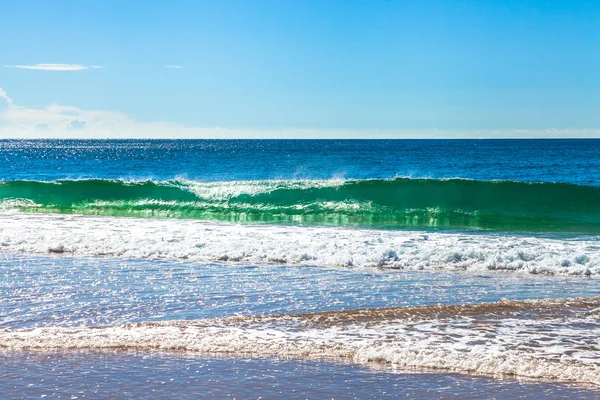 Royal National Park — Stock Photo, Image