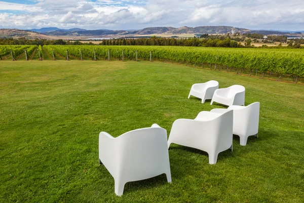 Chairs in vineyard — Stock Photo, Image