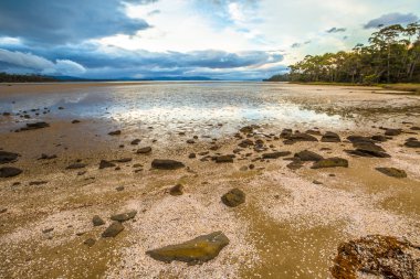 Bruny Island Tasmania clipart