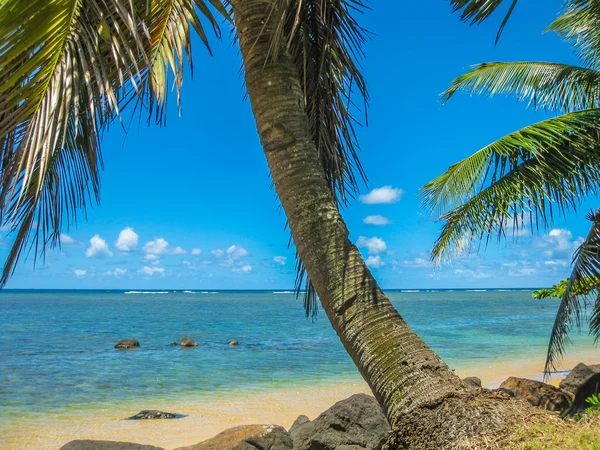 Playa Tropical de Kauai — Foto de Stock