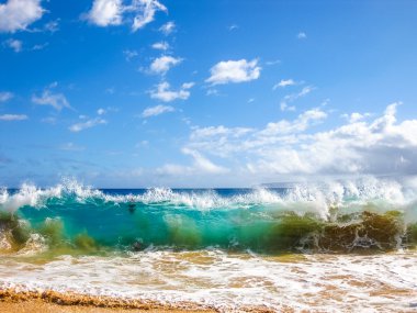 Maui Waves clipart