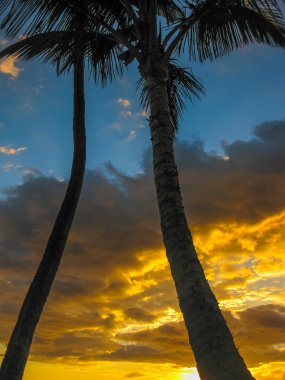 Avuç içi ile Maui günbatımı 