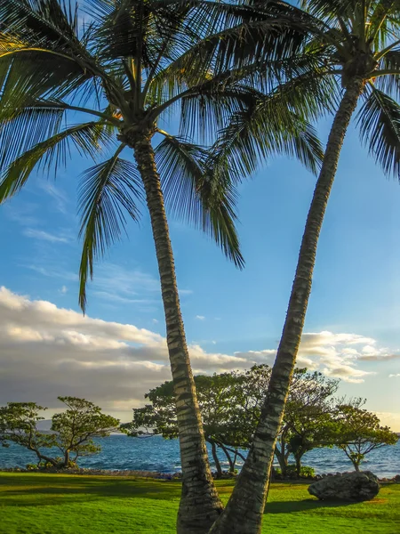 Waipuilani Park Maui — Stock Photo, Image