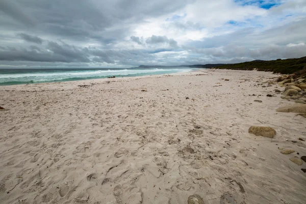 Freycinet Friendly Beach — Stock Photo, Image