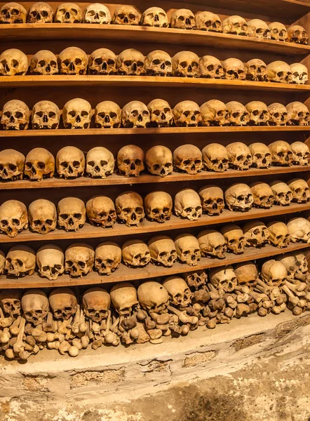 The Human Skulls — Stock Photo, Image