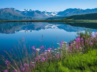 Tanana Vadisi Alaska