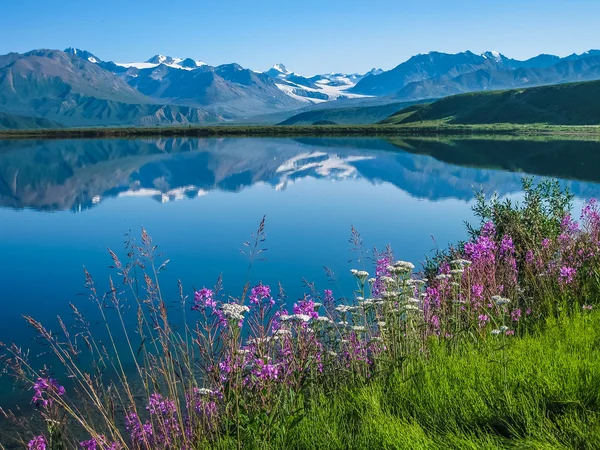 Tanana Долина Аляска — стокове фото