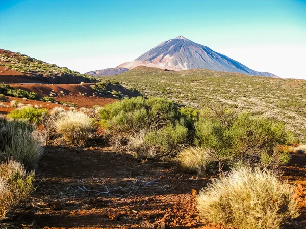 Teide Canary Spain