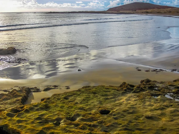 El Medano Tenerife — 스톡 사진